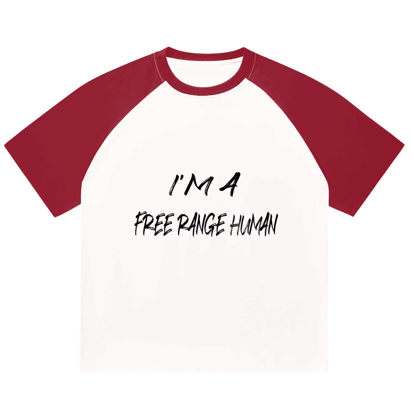 Color-Blocked Raglan Sleeve T-Shirt