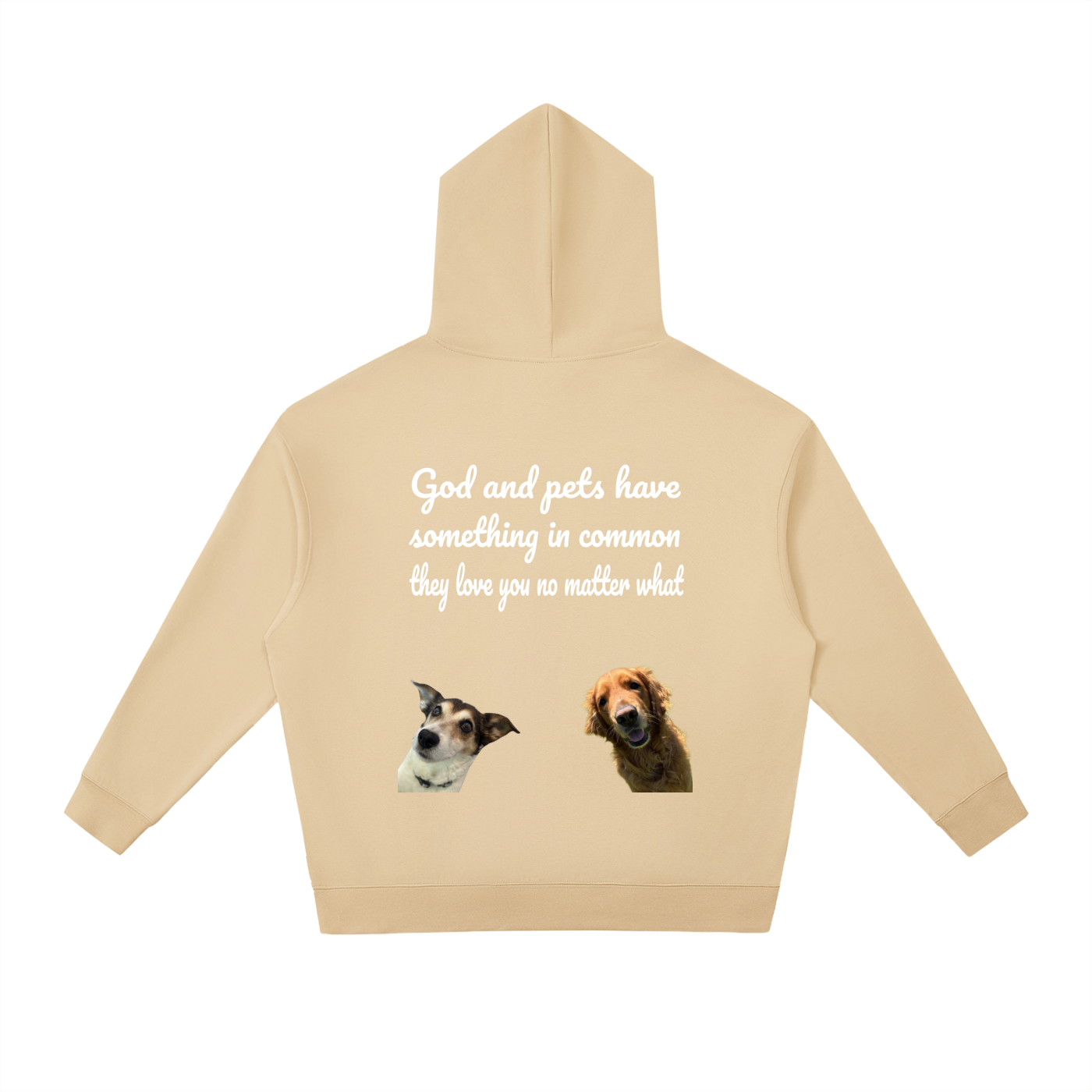 Pet Motivation Pullover Hoodie