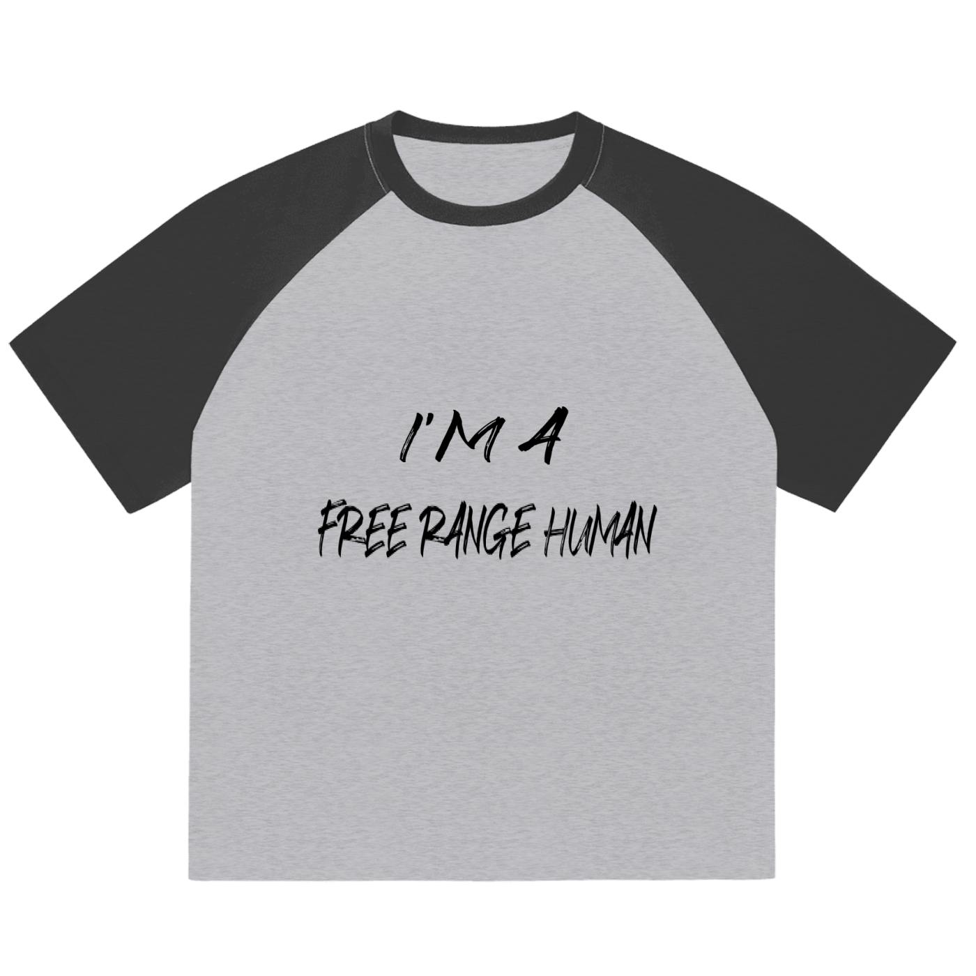Color-Blocked Raglan Sleeve T-Shirt